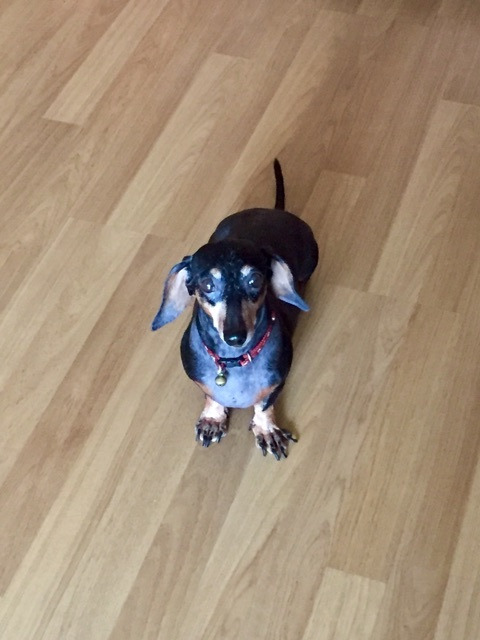 {45559242-FBC8-46AC-9558-D6936F11EB69:01}